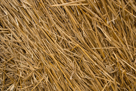 Close up of a straw bale in a field in autumn.の写真素材