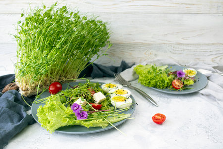 Fresh salad with microgreens and boiled eggs on a light background