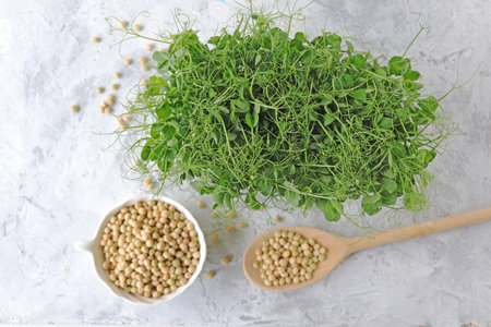 Green pea sprouts in a wooden spoon and soybeans on a light backgroundの写真素材