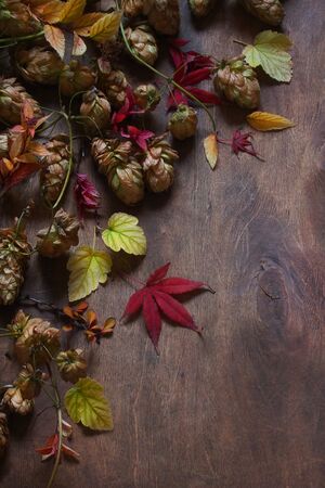 Still life with autumn leaves, hops on wooden backgroundの写真素材