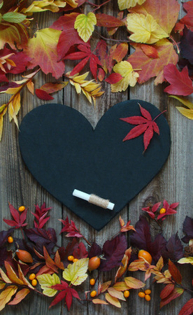 Background with autumn leaves, slate heart and chalk on wooden boardsの写真素材