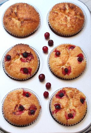 Muffins with berries cranberries in the baking dishの写真素材