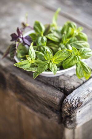 Basil in white plate on wooden background in rustic styleの写真素材
