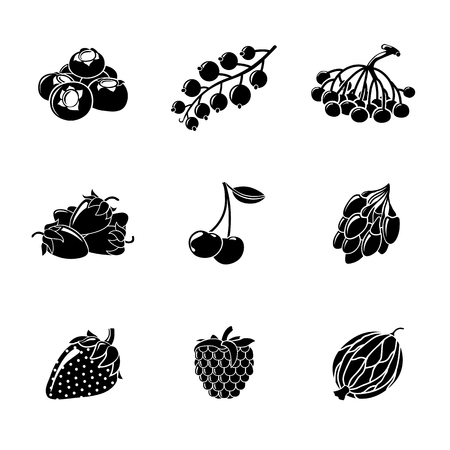 Set of monochrome BERRIES icons - cherry and strawberry, raspberry and currant, blueberry, gooseberry, rowan, goji.のイラスト素材