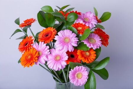 Bouquet of gerberas. Pink, orange and red gerbera in a vase. Congratulation, feast, present.の写真素材