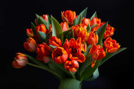 Bouquet of red-yellow tulips on a black background. Close-up.の写真素材