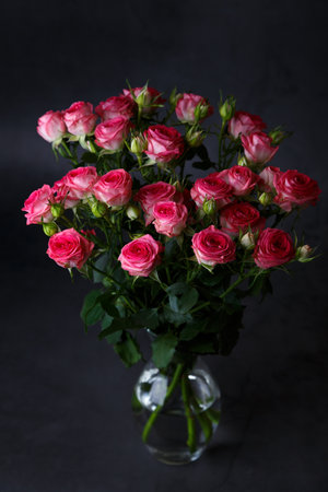 Beautiful bouquet of pink (red) roses bushes on a black background. Selective focus, close-up.の写真素材