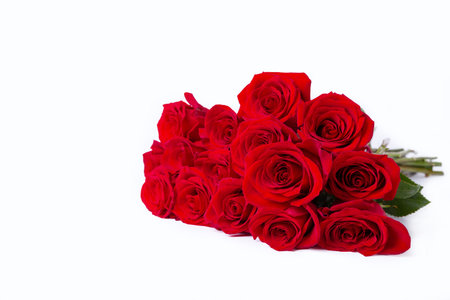 Bouquet of red (burgundy) roses on a white background. Place for text. Close-up, selective focus.の写真素材