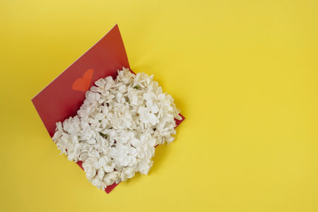 Close-up greeting card template. Open red card filled with white lilacs, flowers, with place for text, greetings on a yellow backgroundの写真素材