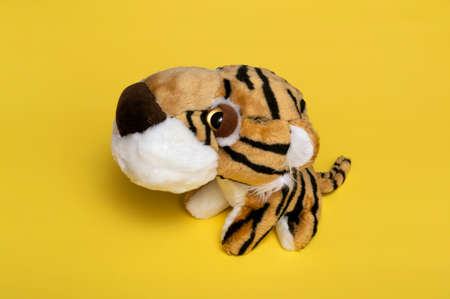 Close-up of a soft toy tiger. The tiger is a symbol of the next year 2022. The coming year of the tiger is 2022. Children's toy.の写真素材