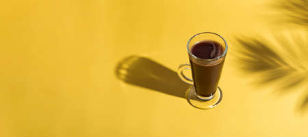 Hot chocolate on a colored background, in the shade of a palm tree. World chocolate day concept. The holiday of chocolate. Bannerの写真素材