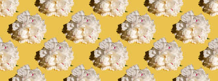 White peony bud on a yellow background. Seamless pattern, design for fabric, wallpaper, logo,...