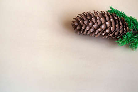 Postcard concept in a minimalist style fir cone on a spruce branch on a pastel beige backgroundの写真素材