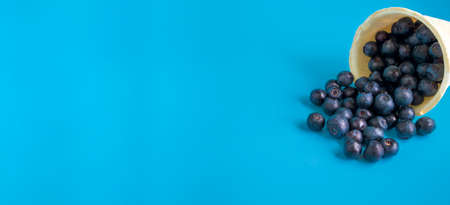 Blueberries in a waffle ice cream cup on a bright blue background. Super vitamin blueberry. Vegetarian ice cream. Bannerの写真素材