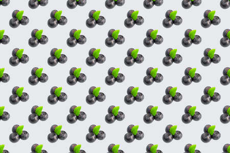 Seamless blueberry pattern on a colored background. Blueberry seamless pattern in flat minimal style