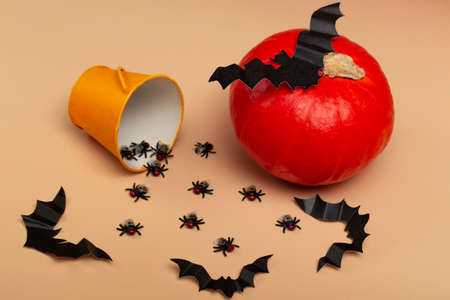 Halloween with pumpkins, spiders, yellow bucket, flies and a bat on a beige background. Halloween party conceptの写真素材