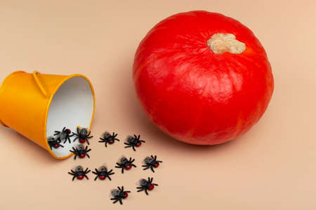 Halloween party concept.Top view on a beige background yellow bucket with flies and pumpkin. Halloween partyの写真素材