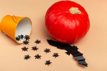 Halloween with pumpkins, spiders, yellow bucket, flies and a bat on a beige background. Halloween party conceptの写真素材