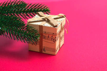 Christmas card. Flatley branches of a Christmas tree with a gift on a pink background. Close up with copy spaceの写真素材