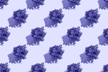 A bouquet of clovers in a yellow bucket with a hard shadow on a colored background. Seamless patternの写真素材