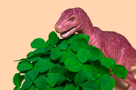 St. Patrick's Day happy dinosaur, a bouquet of clover in a bucket and gold coins on a beige background. Close up copy spaceの写真素材