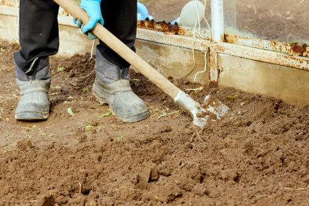 Digging up the earth with a shovel in a greenhouse. garden work. good qualityの写真素材