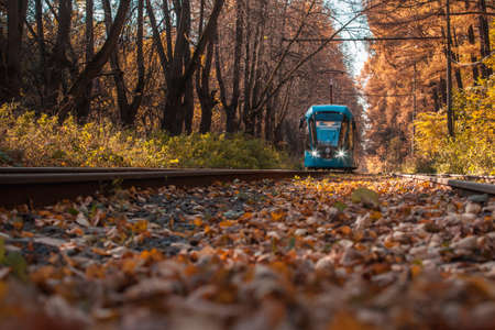 Moscow, Russia â October 06 2021: A modern tram is driving along the alley. Autumn trees are covered with yellow leaves. Fallen leaves on the ground. Sunny day. Shooting from the bottom pointのeditorial素材