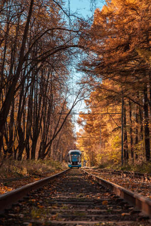 Moscow, Russia â October 06 2021: A modern tram is driving along the alley. Autumn trees are covered with yellow leaves. Fallen leaves on the ground. Sunny day. front view. Shooting from the bottom poのeditorial素材