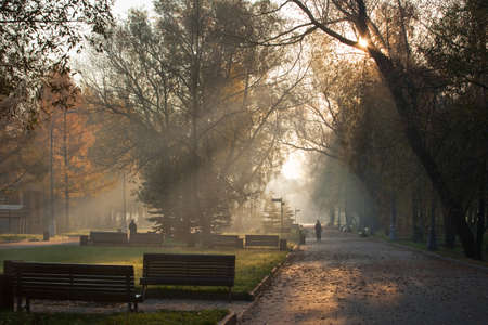 Dawn in the autumn park. The sun's rays fall through the branches of a tree on a green lawn. Fallen leaves on the grass and the path. In the distance there are lone passers-byの写真素材