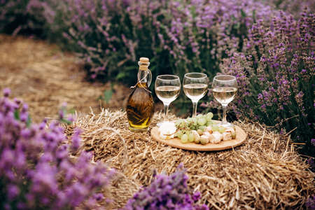 Three glasses of white wine, appetizers cheese, grapes, biscotti, olive oil and a bouquet of flowers on a haystack among lavender bushes. Romantic picnic. Soft selective focus.の写真素材