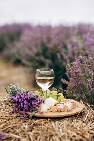 A glass of white wine, cheese, grapes, biscotti and a bouquet of flowers on a haystack among lavender bushes. Romantic picnic. Soft selective focus.の写真素材