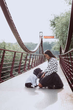 A beautiful young woman in a fluffy skirt and a polka-dot blouse sits on the bridge with her Staffordshire Bull Terrier dog. Soft selective focus. Artistic noise.の写真素材