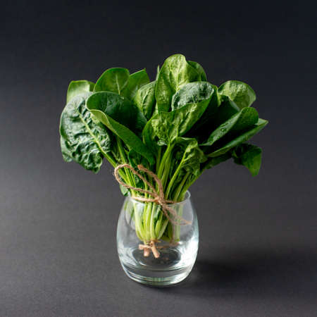 Clean food concept. Bunch of leaves of fresh organic spinach greens in a glass on a black background. Healthy detox spring-summer diet. Vegan Raw Food.の写真素材