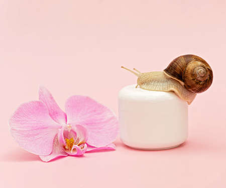 Jar with cosmetic cream for skin rejuvenation on a pink background with snail and orchid flower, snail mucin cream, skin hydration, beauty, health, spa concept. Soft selective focus, copy space.の写真素材