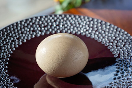 A huge ostrich egg on a large plate, against a background of summer greenery. Organic, eco food products. Soft selective focus.の写真素材