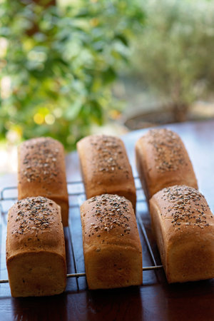 Homemade freshly baked white grain bread on a baking rack against a background of summer green leaves. Soft selective focus.の写真素材