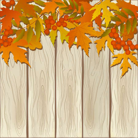 decorative card with branch of rowanberry and leavesのイラスト素材