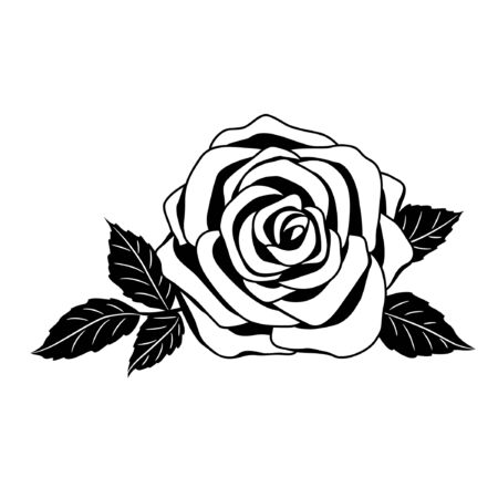 roseのイラスト素材