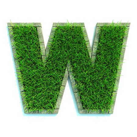 Beautiful Spring Letters and Numbers Made of Grass and Surrounded with  Borderの写真素材