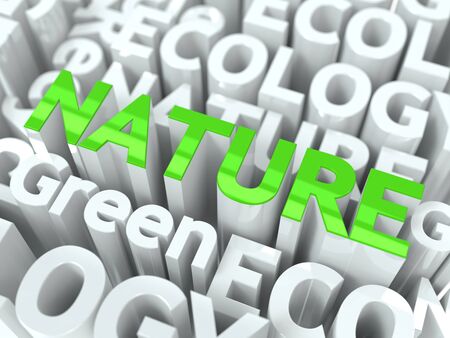 Nature Green Word  Inscription of Green Color Located over Text of White Color 