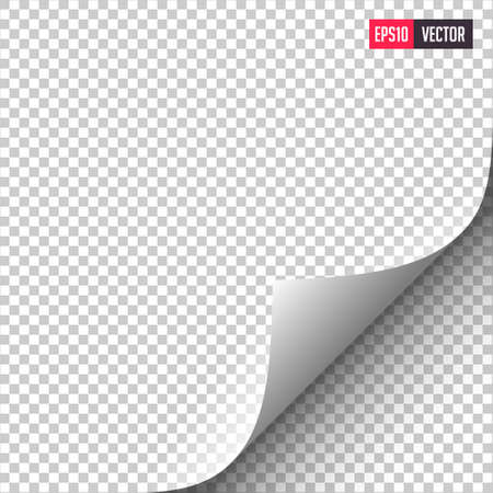 Page Curl with Shadows on Transparent Sheet of Paper. Vector.のイラスト素材