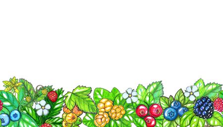 Hand painted watercolor Seamless border with berries and leaves isolated on white background. Perfect for design, textile, cards, washi tapes and other projectsの写真素材