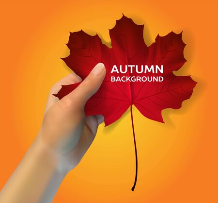 red maple leaf in his hand on an orange background, vector illustrationのイラスト素材