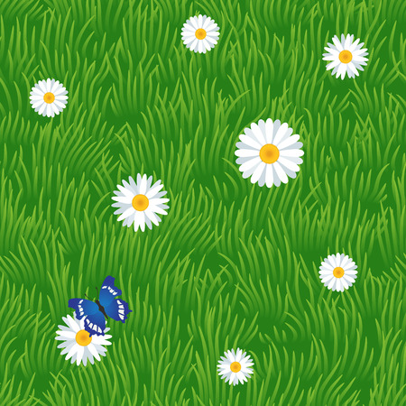 Grass seamless pattern with chamomiles and butterfly, vectorのイラスト素材
