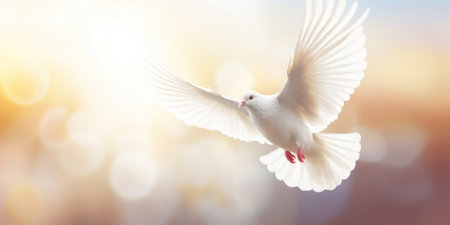 Flying white dove on bokeh background. Freedom and peace conceptの素材