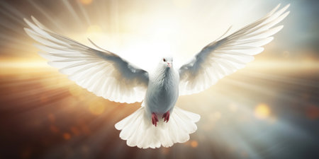 Flying white dove on a background of sun rays. 3D renderingの素材