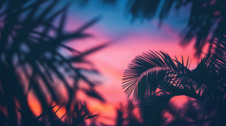 A palm tree stands out in silhouette against a colorful sky blending shades of pink and blueの素材