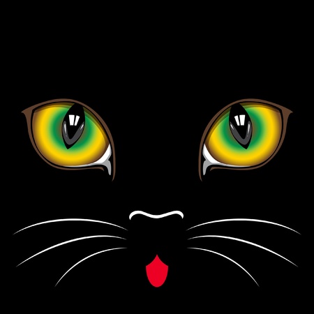 Muzzle black  cat  close up.  Eyes.のイラスト素材