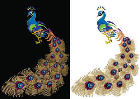 Peacock with tail dissolved in the black and white.のイラスト素材