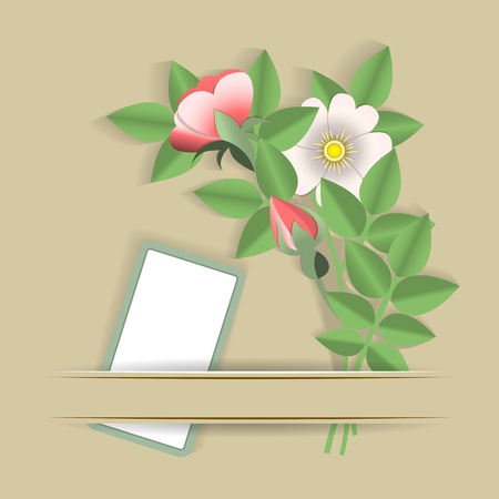 The old photo album  Beige background, card, flower のイラスト素材